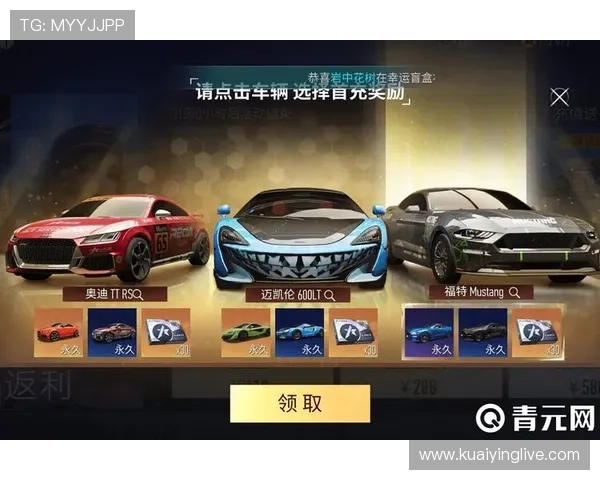 竞速快三查询技巧与预测方法全面解析助你精准掌握玩法规律