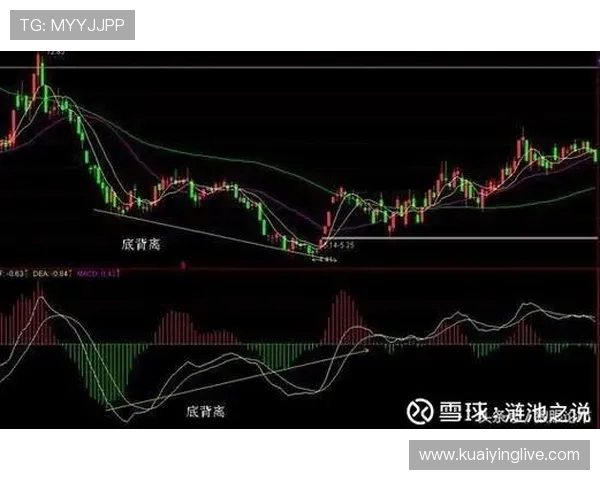 幸运11选5号码精准走势分析与热门组合推荐助你轻松把握每日选号机会